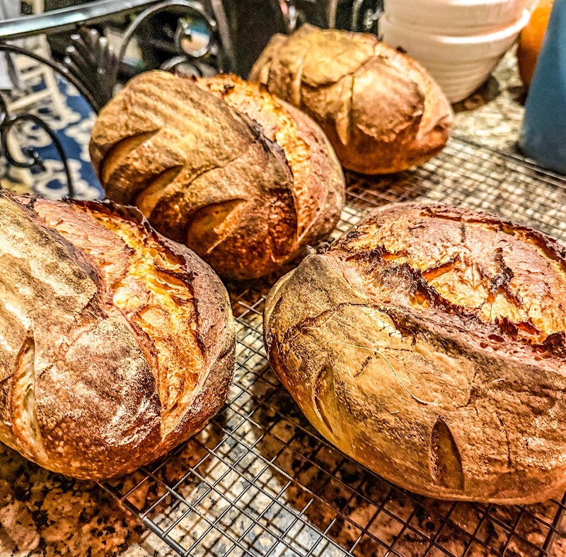 Knead & Noodle photo 2