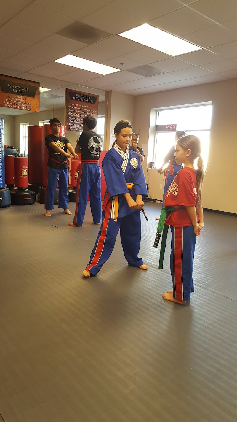 Ernie Reyes' West Coast World Martial Arts photo 3