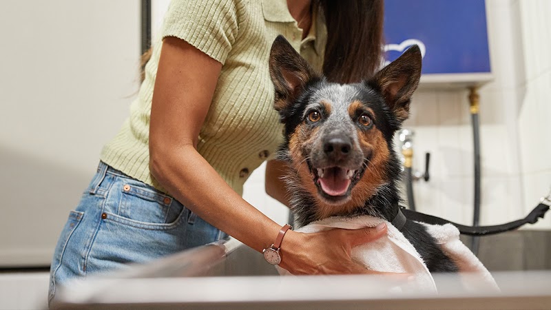 Petco photo 4