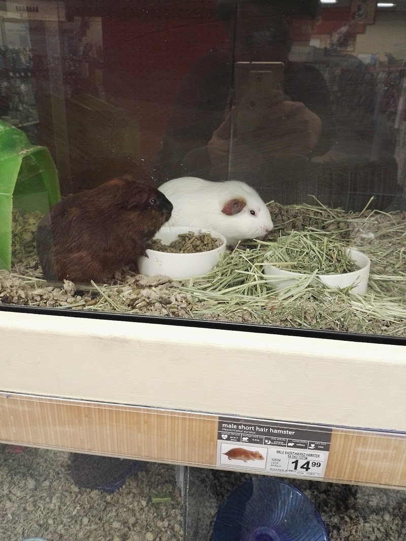 Petco photo 3