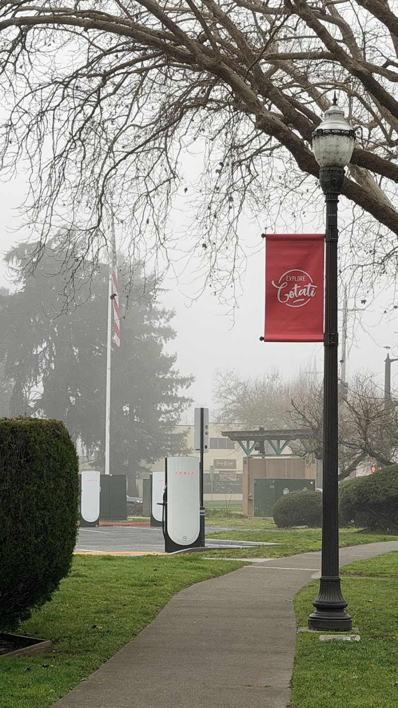 Lions Club of Cotati photo 5