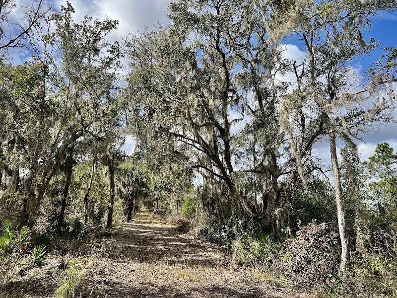 Photo of Balm Boyette Scrub Nature Preserve - West
