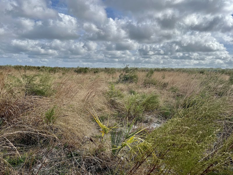 Balm Boyette Scrub Nature Preserve - West photo 5