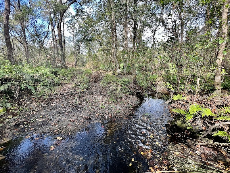 Balm Boyette Scrub Nature Preserve - West photo 2