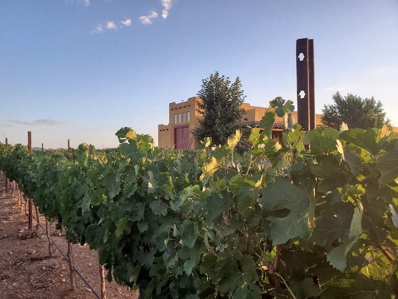 Wilhelm Family Vineyards photo 5
