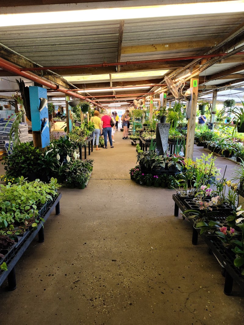 Christine's Tropical & Exotic Plants Inc. photo 4