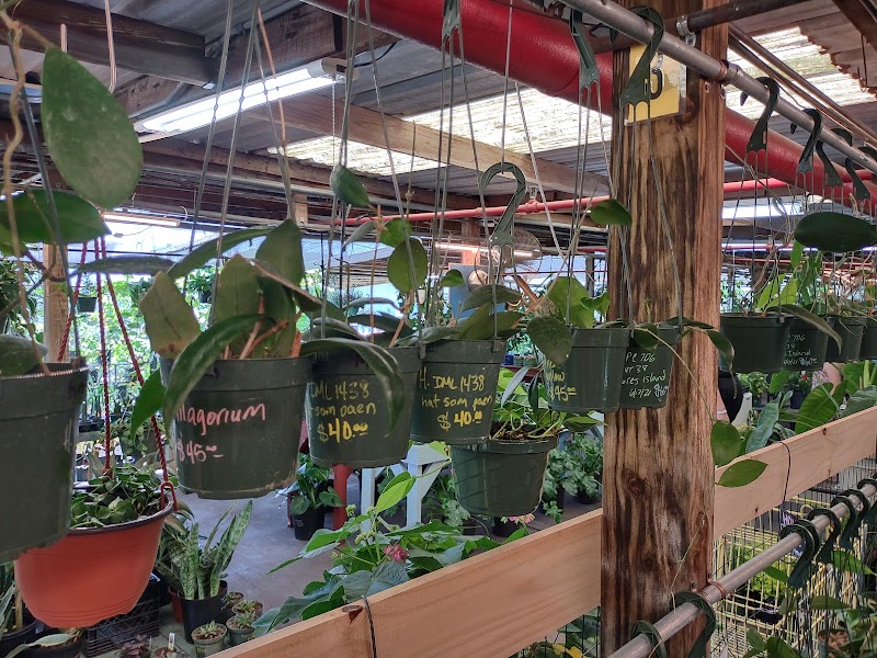Christine's Tropical & Exotic Plants Inc. photo 3