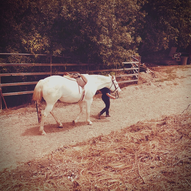 Canyon Creek Ranch photo 2