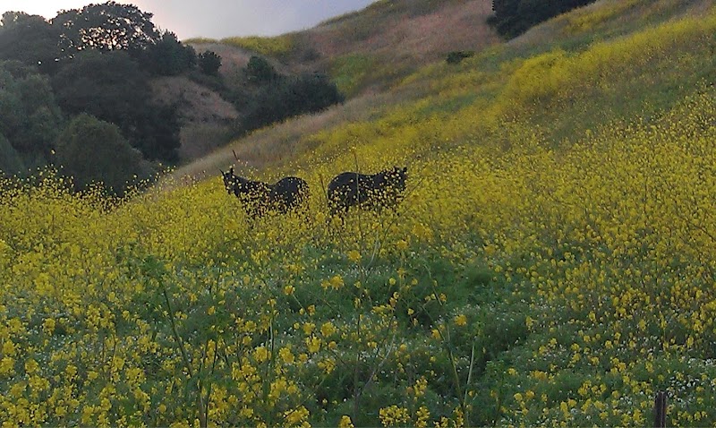 Canyon Creek Ranch photo 5