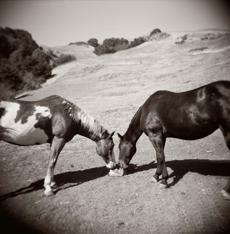 Canyon Creek Ranch photo 3
