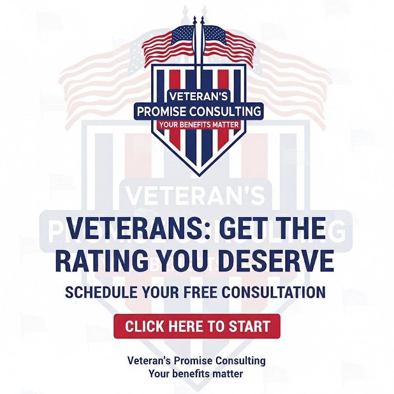 Veteran's Promise Consulting photo 3