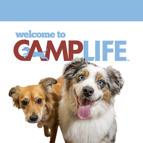 Photo of Camp Bow Wow Tucson East