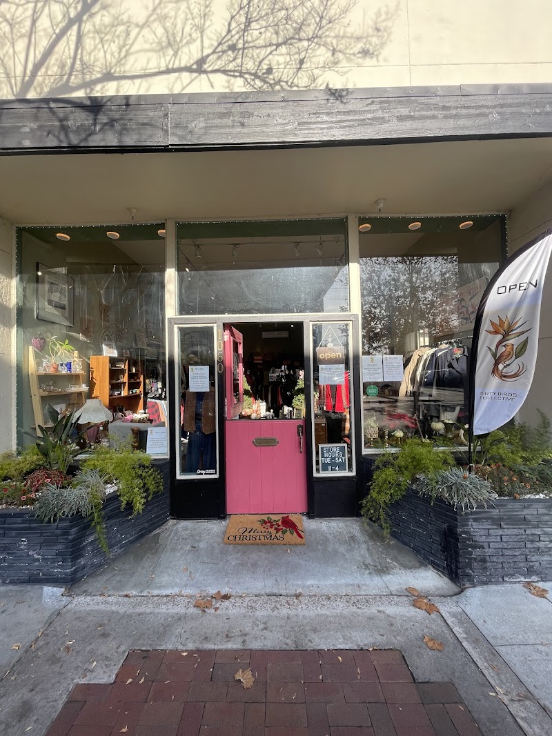 Photo of Dirty Birds Collective