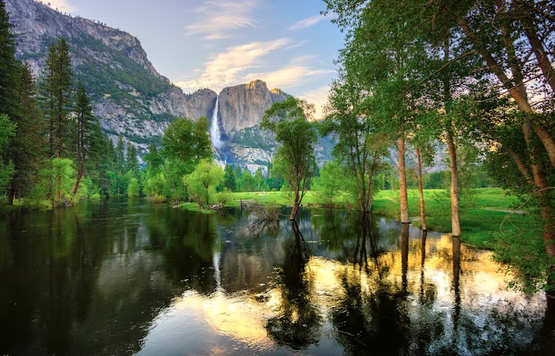 ArtOverstock photo 2