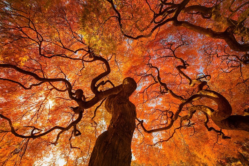 Photo of ArtOverstock