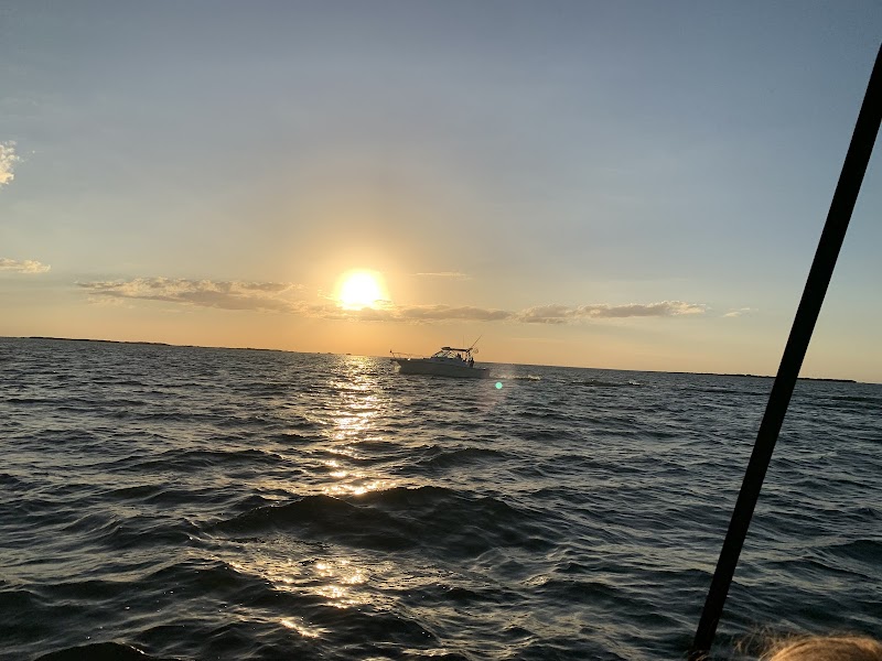 Sunscape Charters photo 2