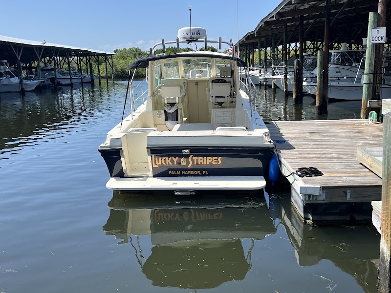 Sunscape Charters photo 3