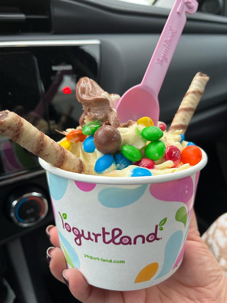 Yogurtland Hayward photo 3