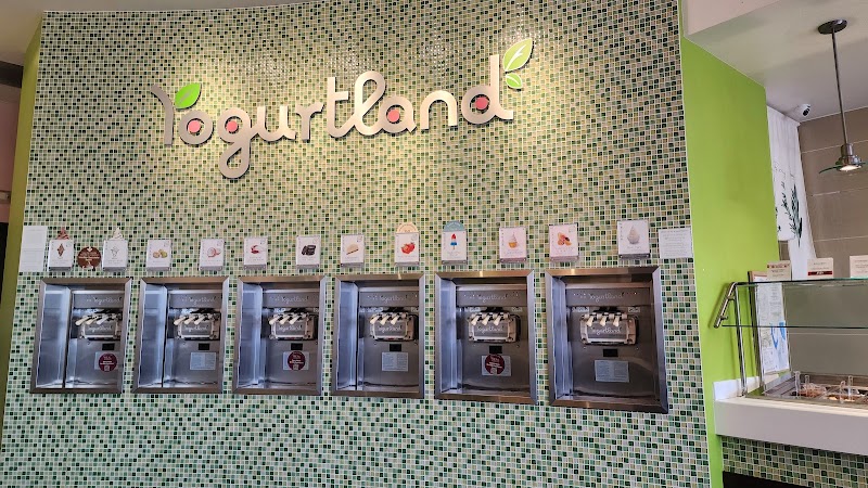 Yogurtland Hayward photo 4