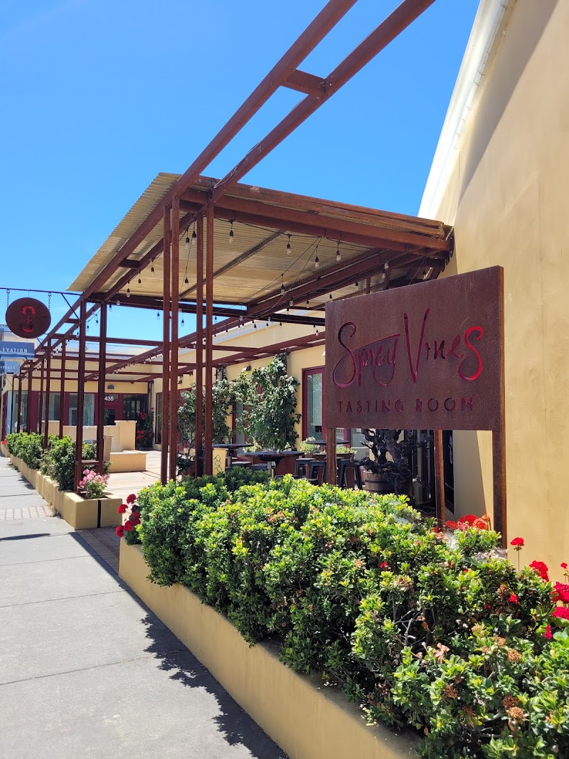 Spicy Vines Winery photo 4