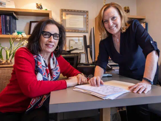 St. Helena Dental Studio photo 5