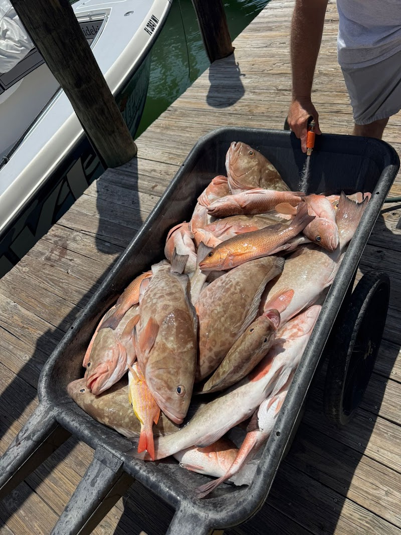 Fintastic Fishing Charters photo 3