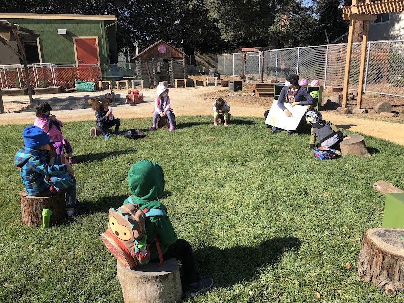 Mountain View Parent Nursery School photo 2