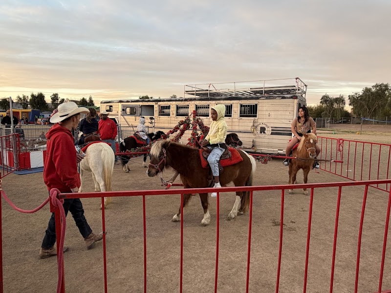 Freckle Farm Pony Rides & Petting Zoo (Mobile Service ONLY) photo 2