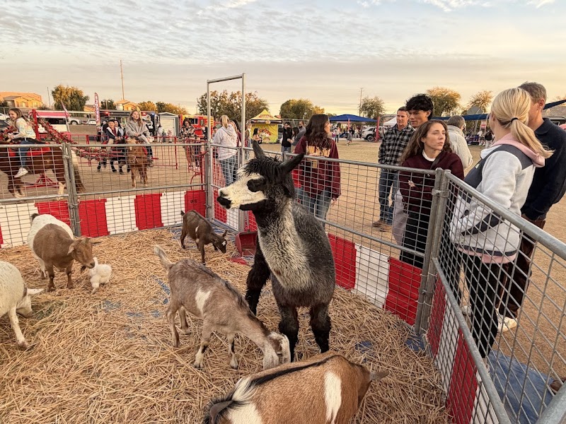 Photo of Freckle Farm Pony Rides & Petting Zoo (Mobile Service ONLY)