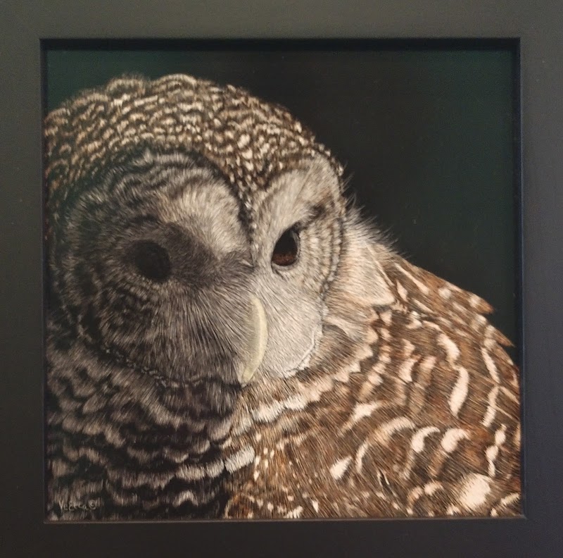 Franklin Anderson Gallery of Arts photo 5