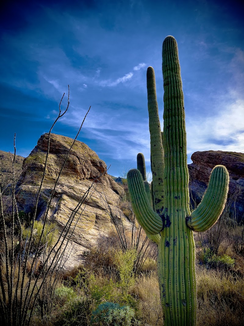 Photo of Javelina Rocks