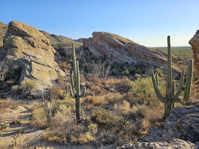 Javelina Rocks photo 2