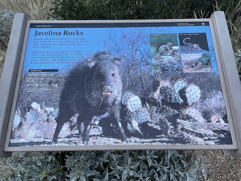 Javelina Rocks photo 5