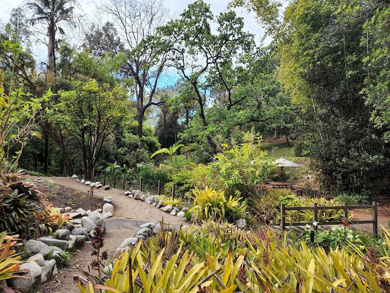 UCLA Mathias Botanical Garden photo 2