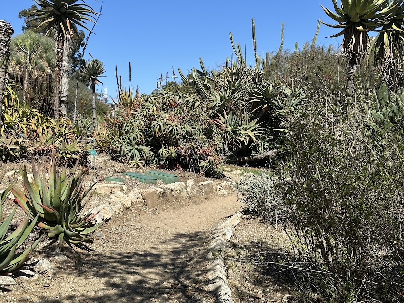 Photo of UCLA Mathias Botanical Garden