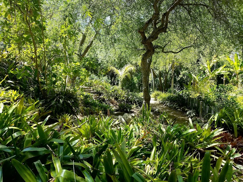 UCLA Mathias Botanical Garden photo 3