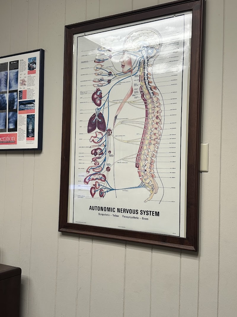 Shadelands Chiropractic photo 5