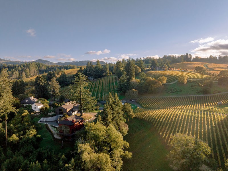 Photo of Theorem Vineyards