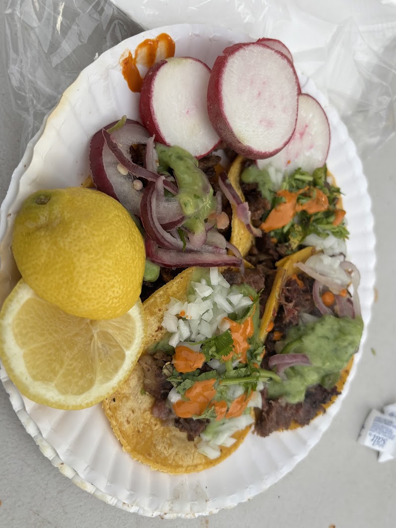 Taqueria Los Perrones photo 4