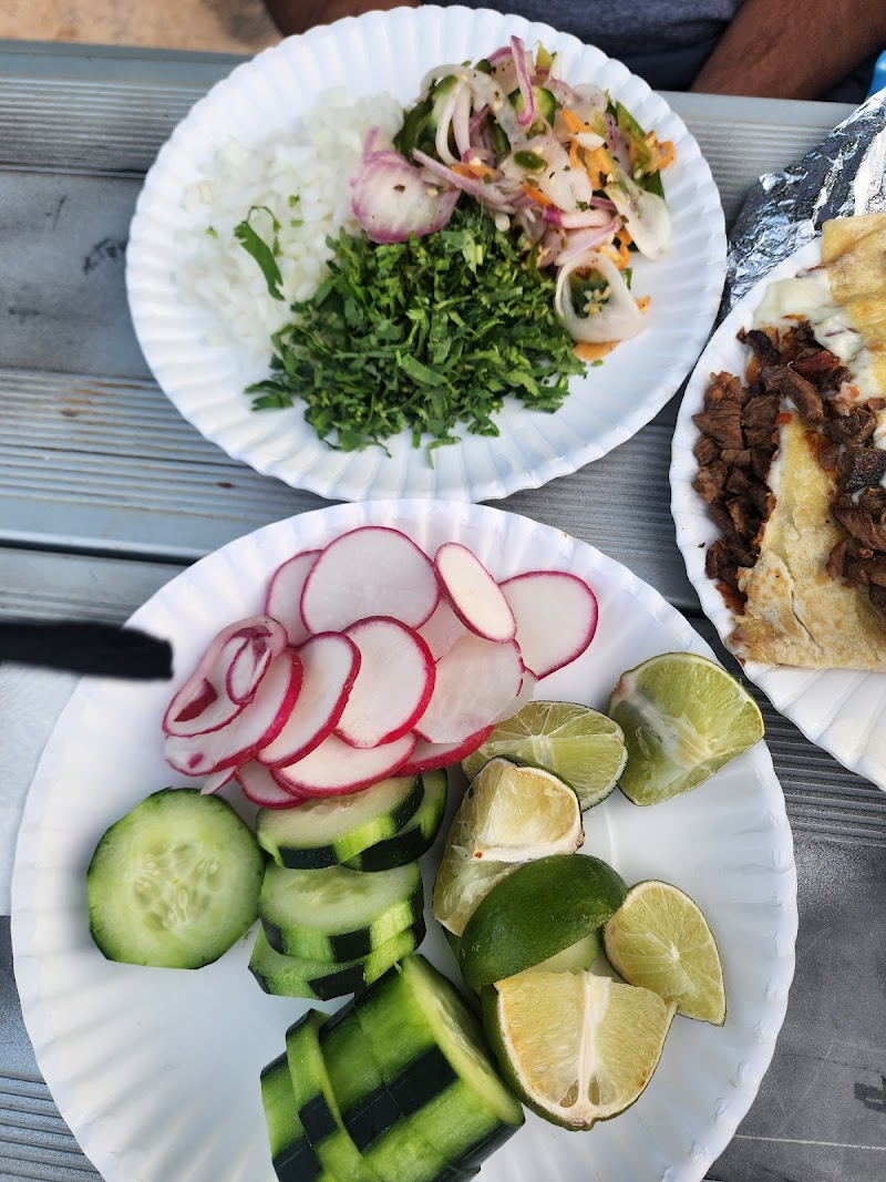 Taqueria Los Perrones photo 5