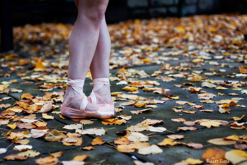 Photo of Windsor Dance Academy