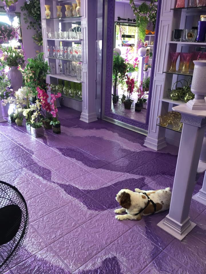 Photo of Flower Fantasy
