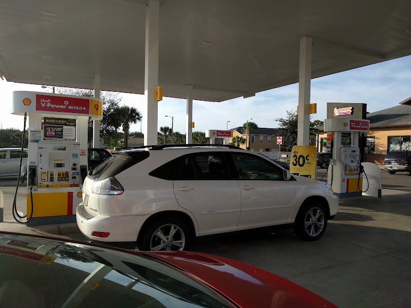 Shell photo 5