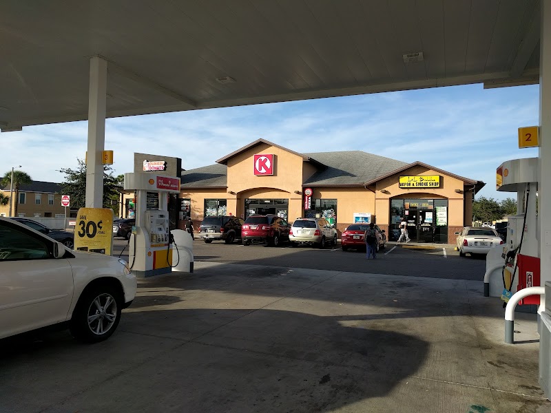 Shell photo 2