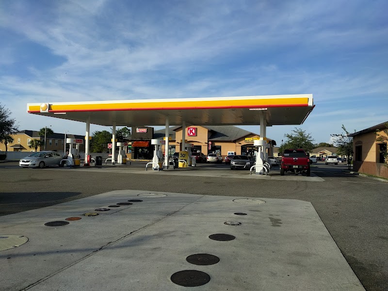 Shell photo 4