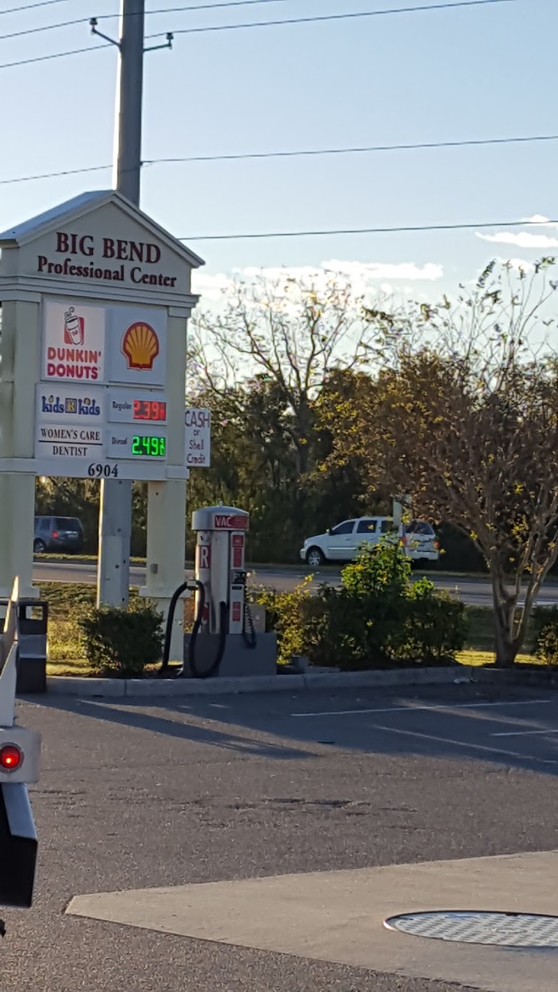 Shell photo 3