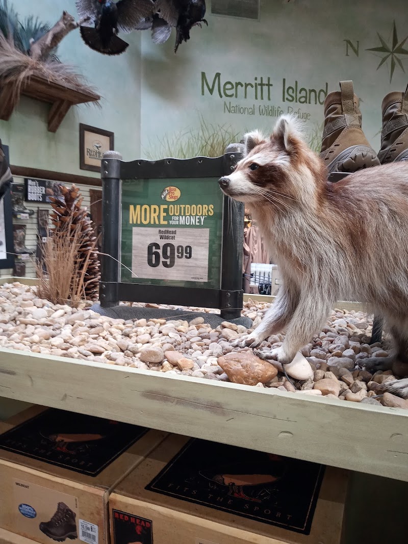 Bass Pro Shops photo 4