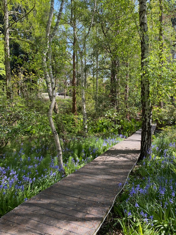 Photo of Botanica Nursery and Gardens