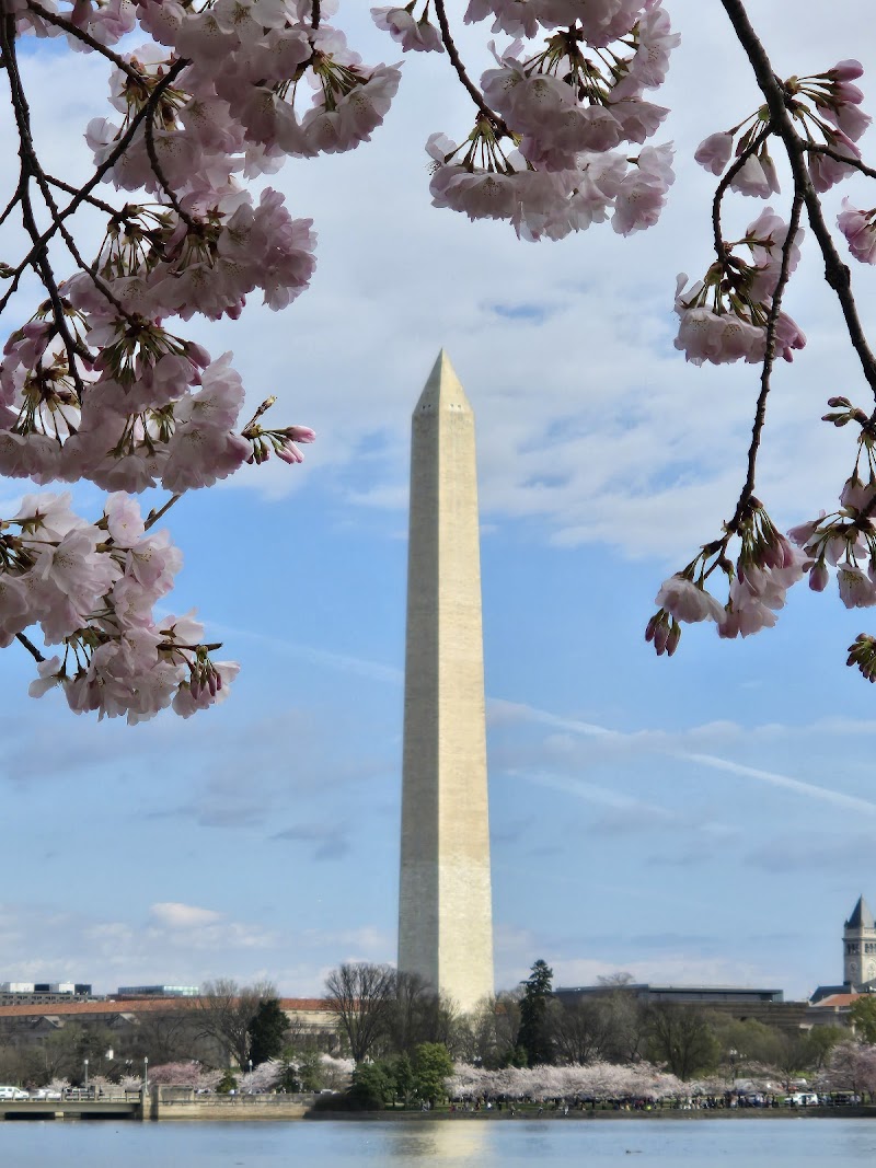 Washington Monument photo 2