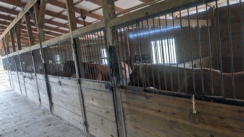 Photo of Xtreme Horsemanship, Inc